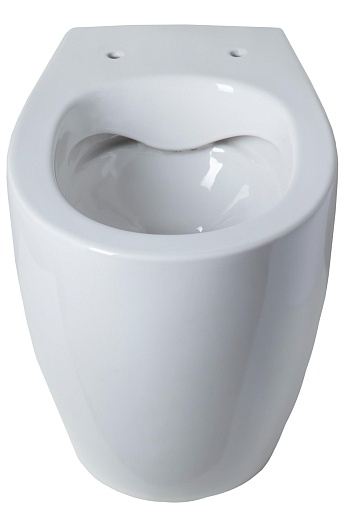 Allen Brau Унитаз приставной Fantasy 4.11007.20 белый глянец – картинка-3